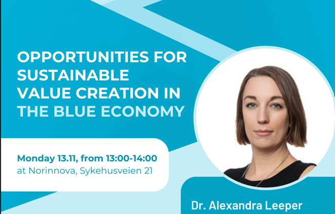 Opportunitites For Sustainable Value Creation In The Blue Economy ...